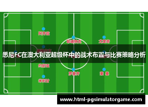 悉尼FC在澳大利亚超级杯中的战术布置与比赛策略分析