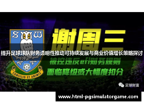 提升足球球队财务透明性推动可持续发展与商业价值增长策略探讨