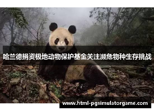 哈兰德捐资极地动物保护基金关注濒危物种生存挑战