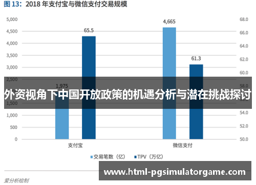 外资视角下中国开放政策的机遇分析与潜在挑战探讨