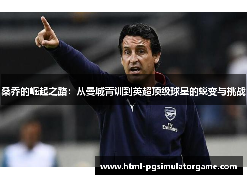 桑乔的崛起之路：从曼城青训到英超顶级球星的蜕变与挑战